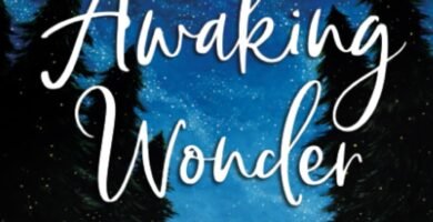 Awaking Wonder Experience